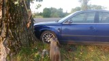 Zdunki-Bobry. Volkswagen wbił się w drzewo (zdjęcia)