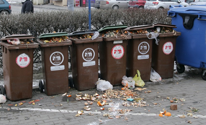 W tym roku za wywóz śmieci z Grudziądza miasto płaci ok. 11...