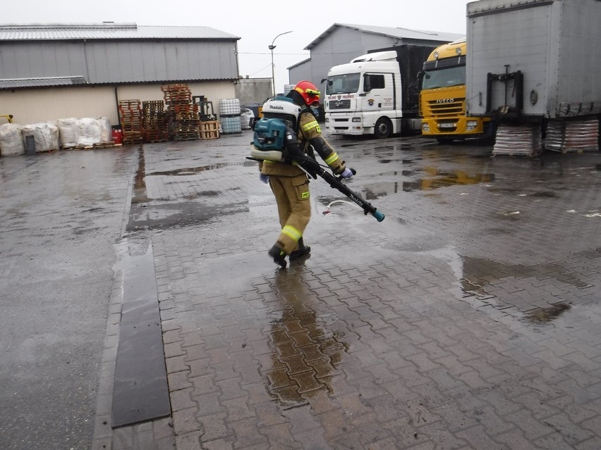 Bochnia. Olej napędowy zanieczyścił Potok Buczkowski [ZDJĘCIA]