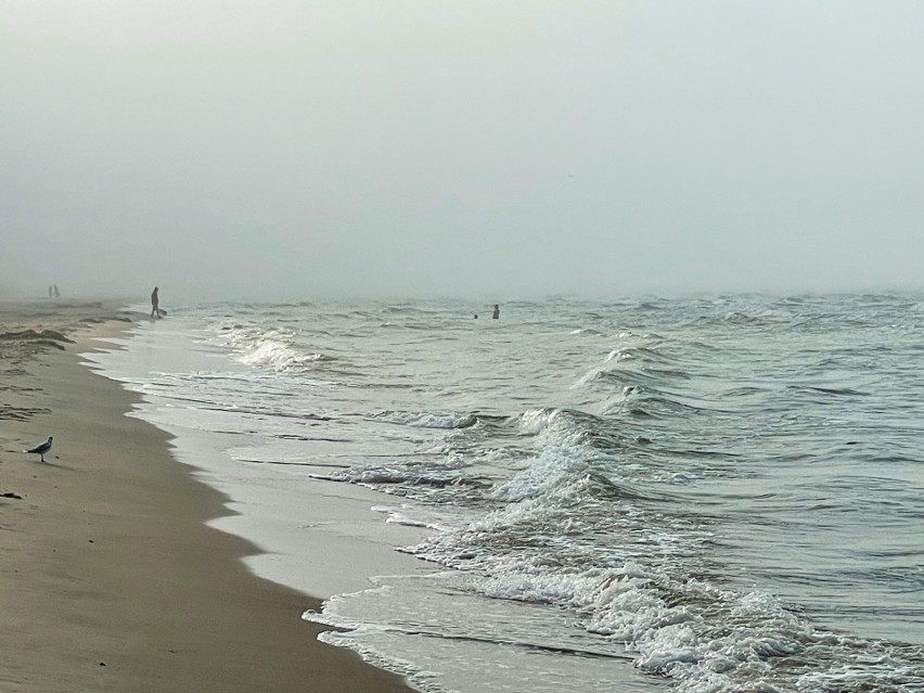 Fale i wszechobecna mgła. Tak wyglądała warszowska plaża...