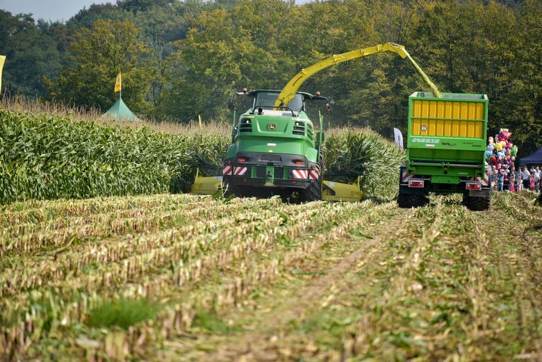Już wkrótce Podlaski Dzień Kukurydzy 2019 w Szepietowie (zdjęcia)