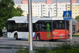 Autobusy elektryczne już od dwóch lat w Malborku. Nie wszyscy zauważyli, że mają... klimatyzację. MZK apeluje: "Nie otwierajcie okien"