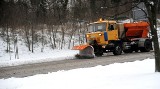 PKS Gryfice odwołał kursy autobusów. W gminie Brojce, Karnice i Płoty dzieci nie dojechały do szkół