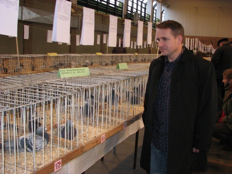 Wystawa golebi pocztowych w Ostrowi Mazowieckiej - 1 dzien