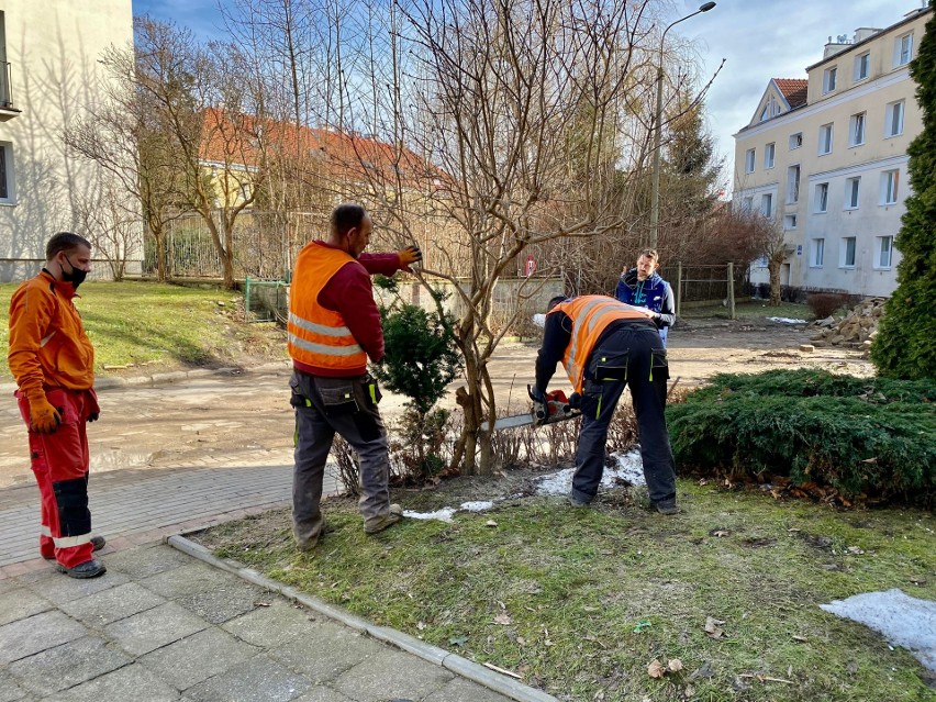 Według mieszkańców przebudowa ul. Necla przebiega w skandaliczny sposób. "Żaden z warunków zadbania o zieleń nie został spełniony"