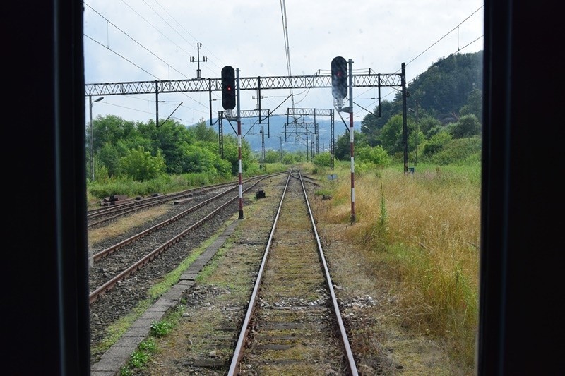 Nowy Sącz. Pociągiem retro pojechali do Chabówki [ZDJĘCIA]