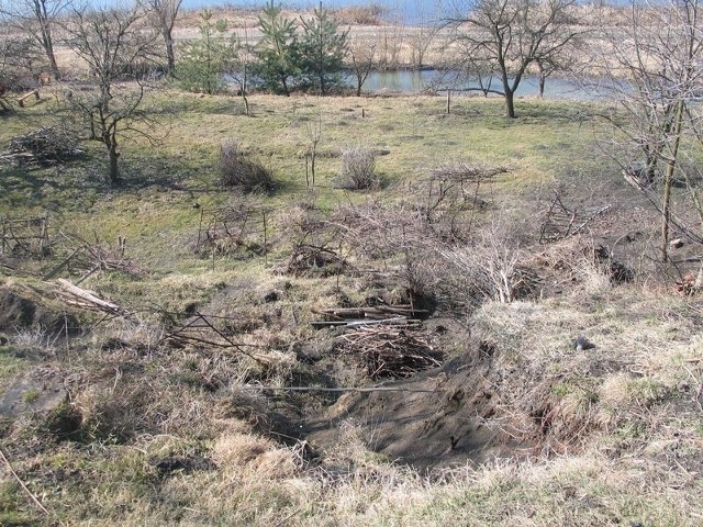 Od maja 2010 roku, skarpa granicząca z domami przy ulicy Mickiewicza w Tarnobrzegu, na podmiejskim osiedlu Miechocin obsunęła się w dół o 1,5 metra.