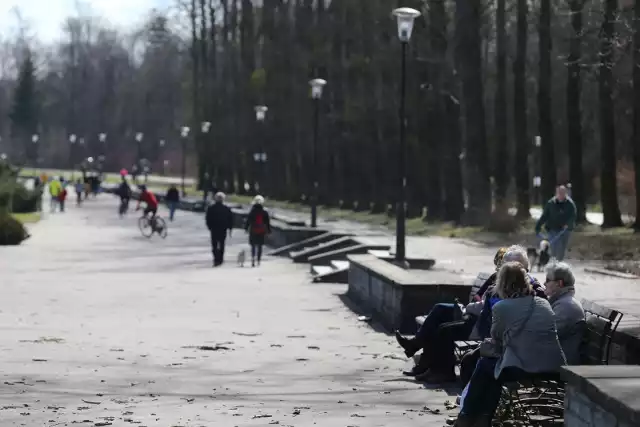 Wiosenny spacer w promieniach słońca, a może wśród opadów deszczu?