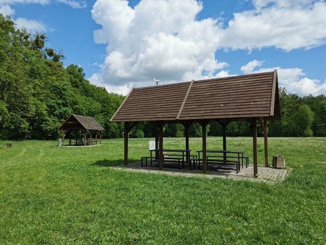 Piknik Park powstał właśnie po to, by organizować tam imprezy w plenerze.