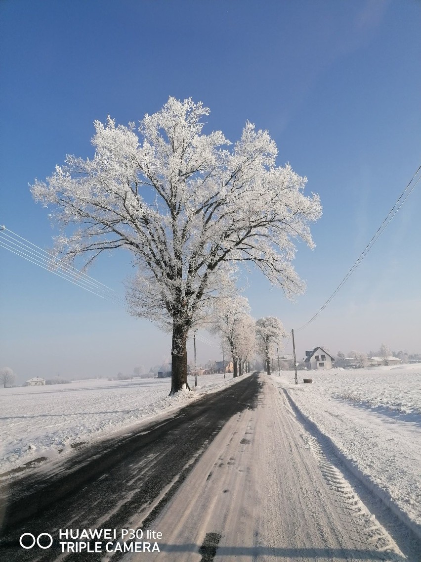 Zdjęcie Leny Gapskiej z gminy Dąbrowa Chełmińska pt....