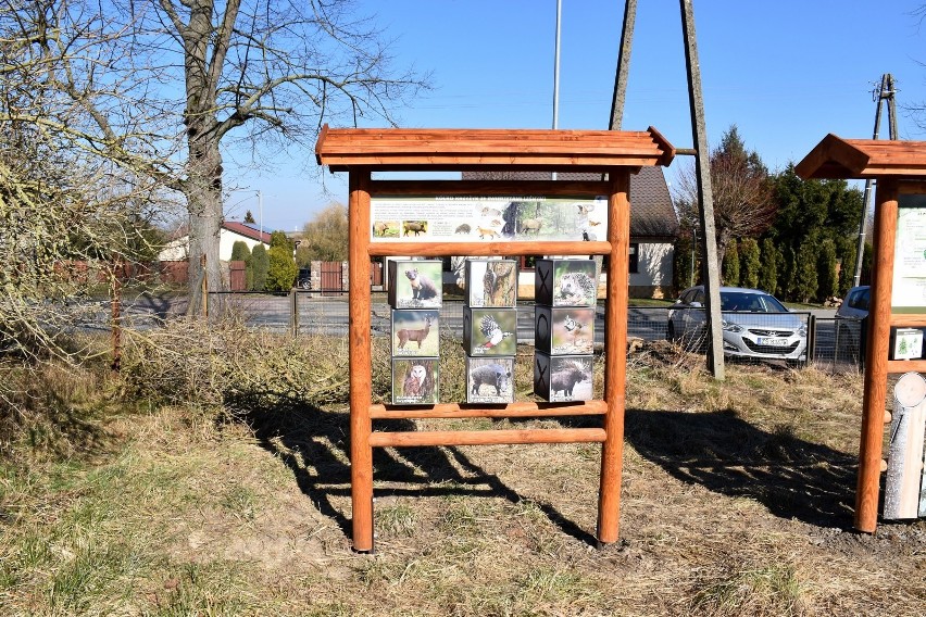 Ścieżka edukacyjna w Siadle Górnym. Takiej atrakcji można pozazdrościć mieszkańcom