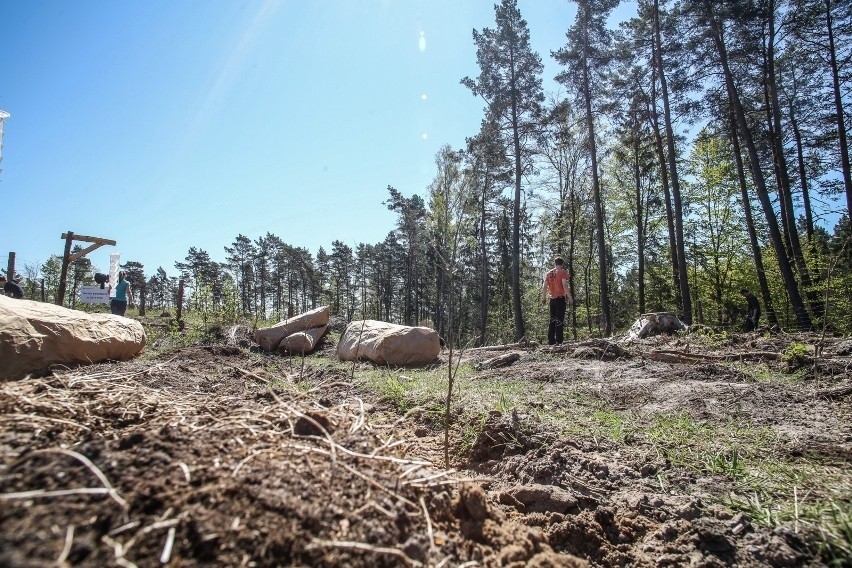 Specjalista służby leśnej wyceniony został na 2,4 do 7,4...