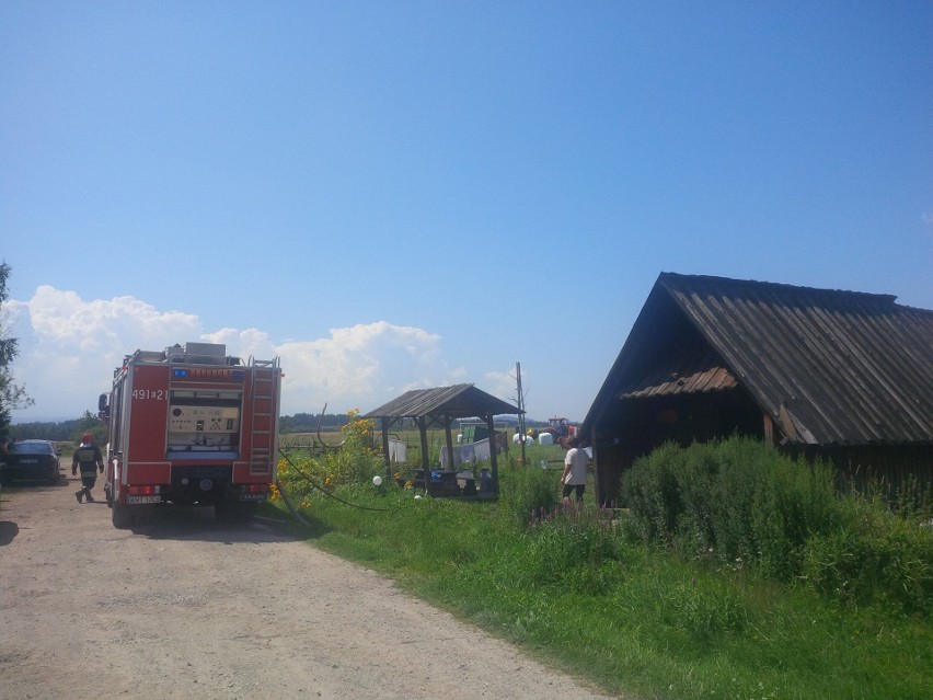 Nowy Targ. Pożar w okolicach bacówki [ZDJĘCIA]