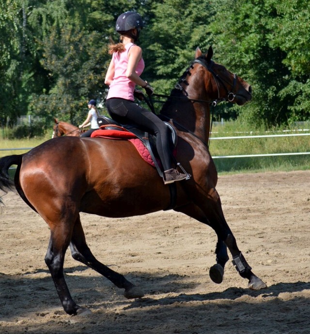Kluby jeździeckie z Opola, Prudnika i Zawady już zgłosiły zapotrzebowanie na jeźdźców konnych.