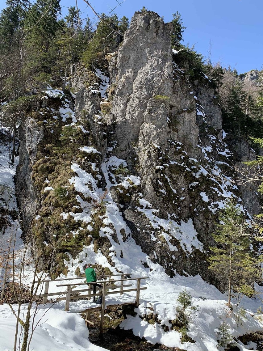 Tatry. Zobacz, jak budzi się do życia górska przyrody. W tym roku człowiek jej nie przeszkadza [6.04.]