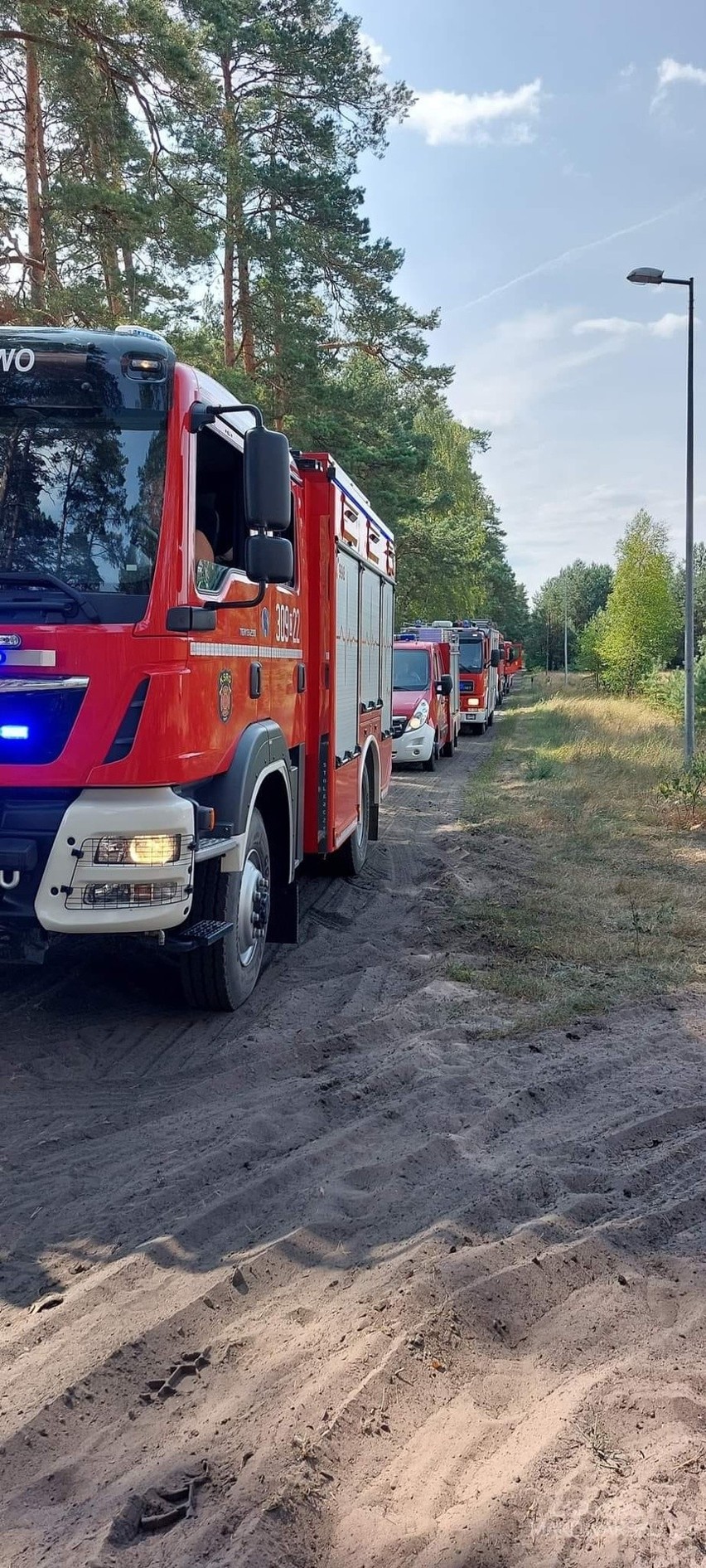 Pożar lasu w okolicach Bożenkowa i Samociążka.