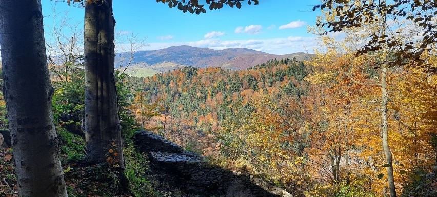 Trzy Korony jesienią. Górska wycieczka w malownicze Pieniny, skąd widać Tatry [ZDJĘCIA]