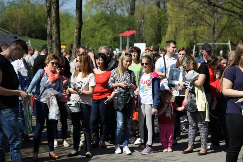 Bieg Skrzata w Parku Hallera zgromadził setki uczestników