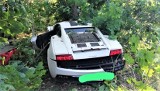 Kolizja na granicy Lubuskiego i Wielkopolski. Podczas wyprzedzania lamborghini i ford fiesta zderzyły się bokami i wylądowały na drzewach 