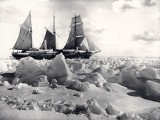 Trzydniowy przegląd filmowy - Antarktyczne Podróże