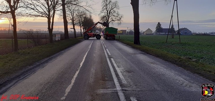 W poniedziałkowy poranek w Przedbojewicach na jezdnię...