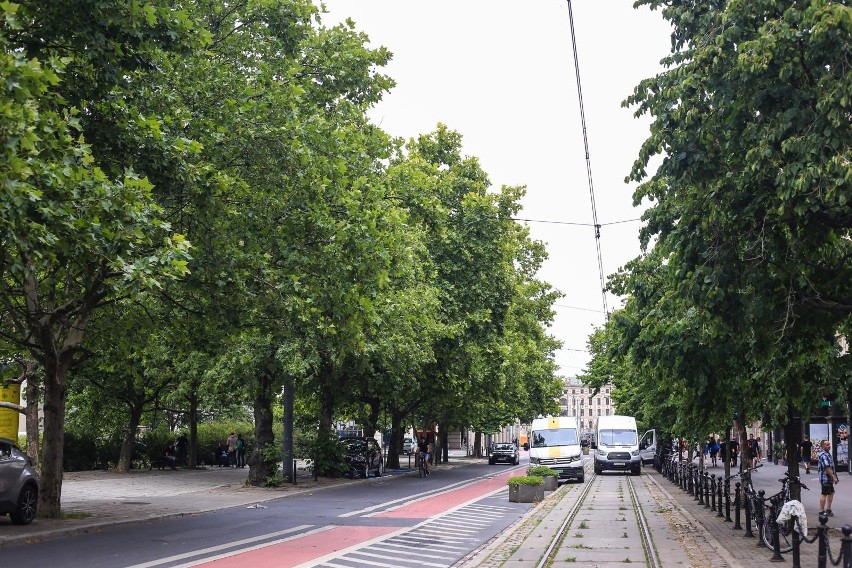 Stowarzyszenie Plac Wolności uważa, że odpowiedź w postaci...