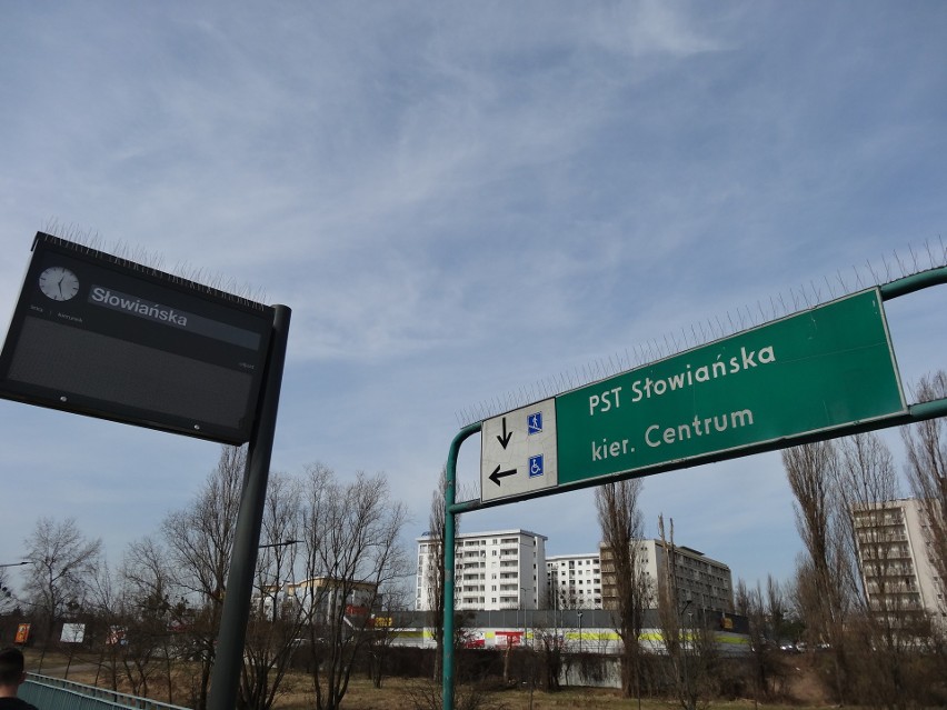 Przystanek autobusowy "Słowiańska" linii 82 w kierunku...