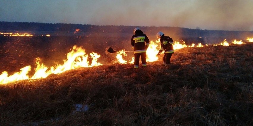 Wraz ze wzrostem temperatury strażacy w całej Polsce...