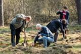 Leszczynowy ogród na Światowy Dzień Ziemi. Około 200 nowych sadzonek pojawiło się w Białych Błotach