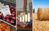 Ceny mięsa, owoców, zbóż, mleka i warzyw będą rosły czy spadną? Prognozy ekonomistów dla rynków rolnych na 2023 rok