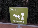 Park kieszonkowy ma swój pi(e)suar. Projekt psich toalet dotarł do Gdańska [zdjęcia]