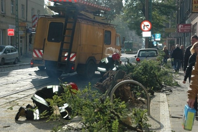 Na Kraszewskiego na trakcję tramwajową przewróciło się drzewo.