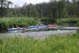 [POGODA MAJÓWKA 2018] Pogoda w długi majowy weekend w regionach i kurortach kraju - 30.04.2018