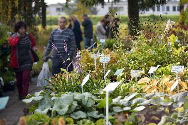 Będą też nowości i rarytasy dla koneserów. I jak zwykle akcja „Drzewko za makulaturę”.