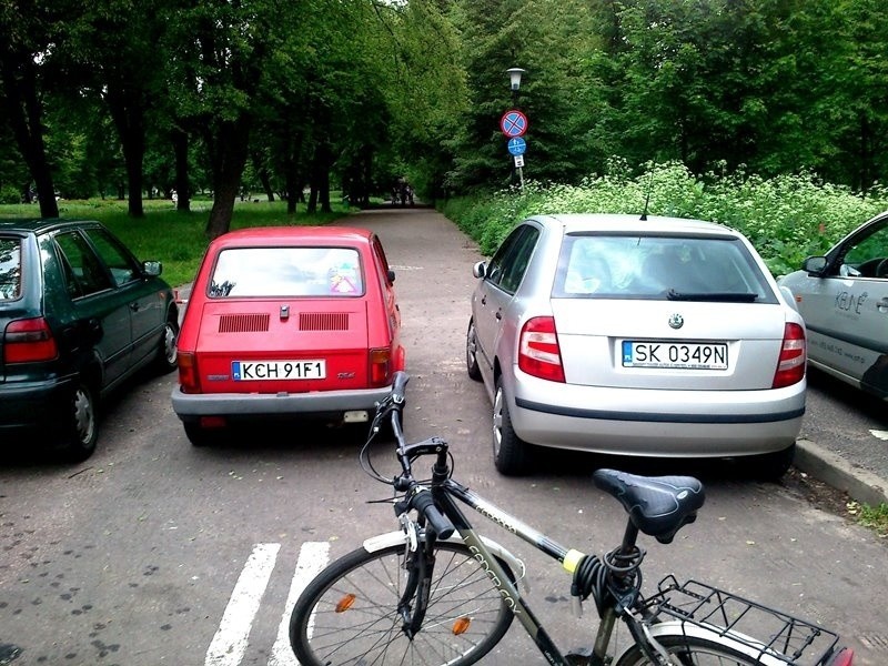 Parkowanie w Parku Śląskim