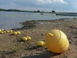 Plaża w Ostrowie nie  jest gotowa do sezonu [zobacz zdjęcia]