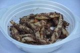 Potrawy wigilijne. Libiąskie paluszki z makiem Koła Gospodyń Wiejskich [PRZEPIS]