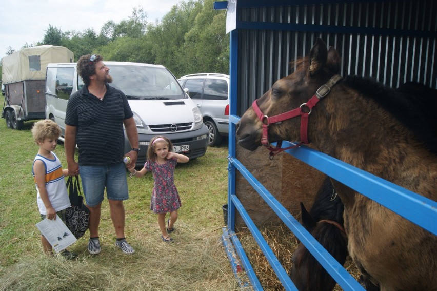 Wystawa zwierząt hodowlanych w Ludźmierzu. Tą imprezę pokocha każdy dzieciak!