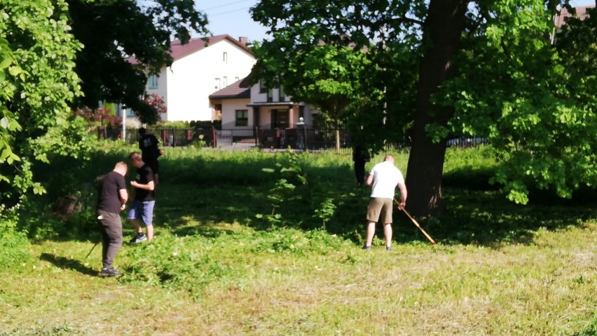 Sprzątanie cmentarza żydowskiego w Wysokiem Mazowieckiem