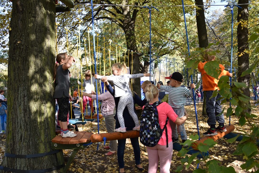 Czeladź: w parku Prochownia od dziś działa park linowy