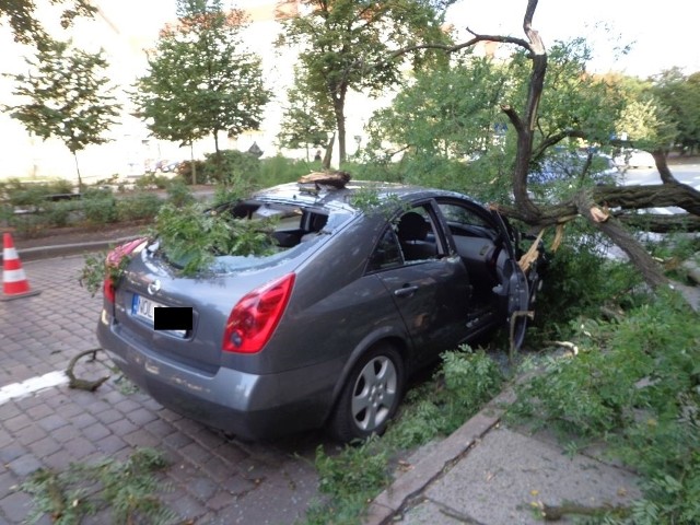 Drzewo dziś nad ranem zawaliło się na stojące przy chodniku auto, zaparkowane przy al. Jana Pawła II. Nikomu na szczęście się nic nie stało.