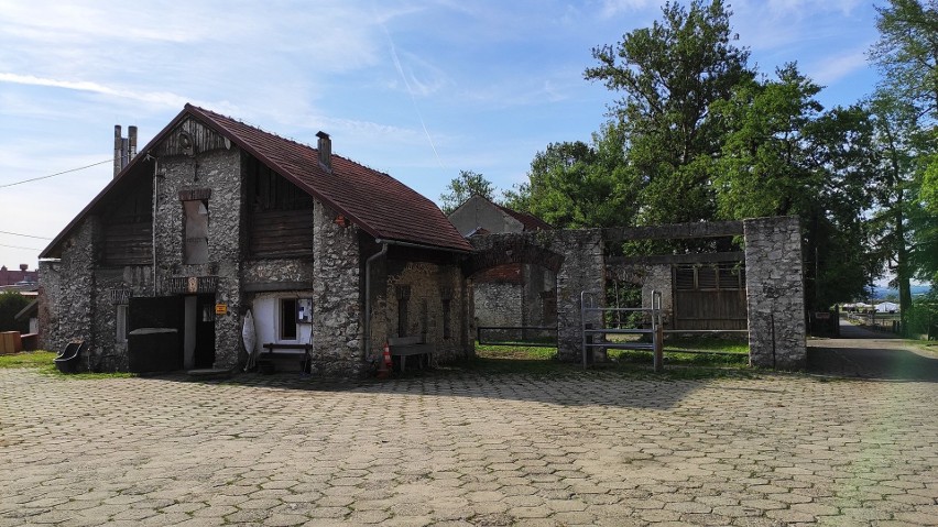 Czernichów. Młodzi strażacy uczyli się nie tylko działań pożarniczych, ale też fotografowania