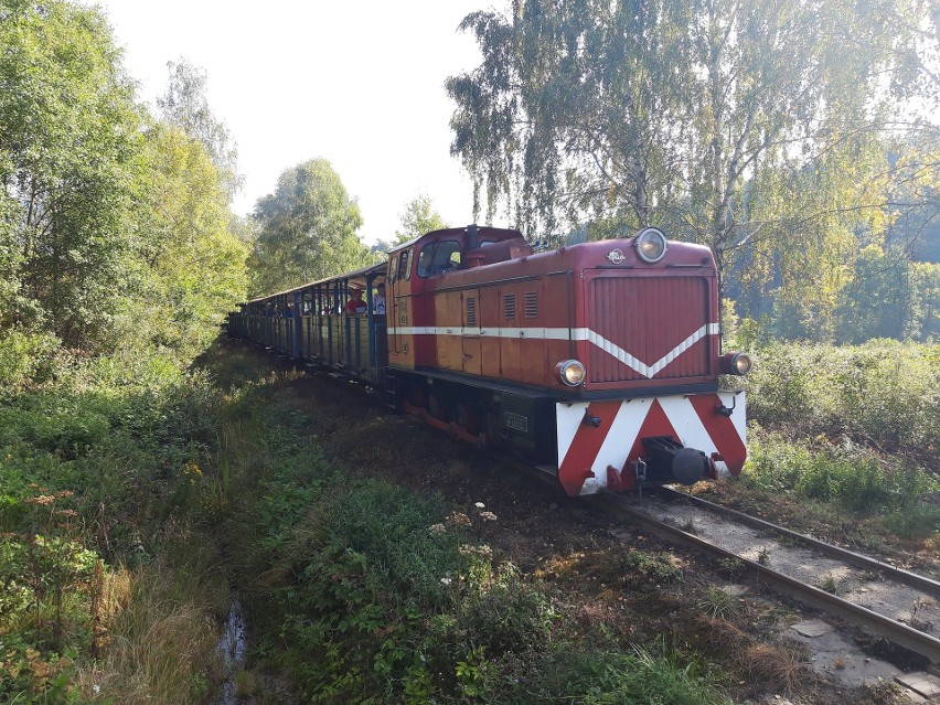 Ciekawą atrakcją Bieszczad, która na pewno spodoba się...