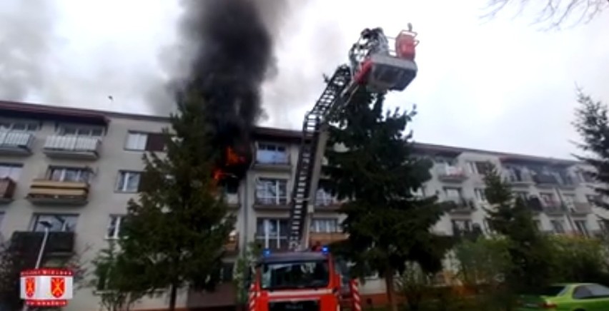 Pożar w bloku w Kraśniku. Cztery osoby trafiły do szpitala, dwa psy nie przeżyły. Zobacz wideo