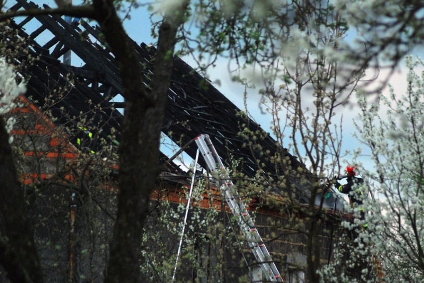 Pożar w Suchorzewku: Dwie rodziny bez dachu nad głową