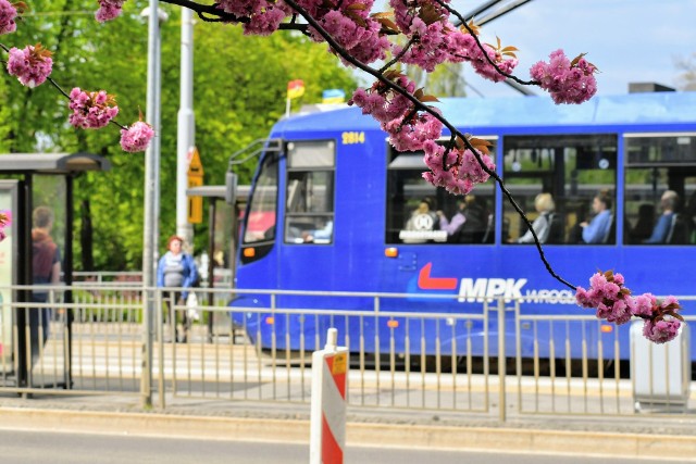 W związku z zakończeniem prac doszło do zmian tras linii tramwajowych 1 i 70 oraz zmiany lokalizacji przystanków dla kursów nocnych linii 240 i 250