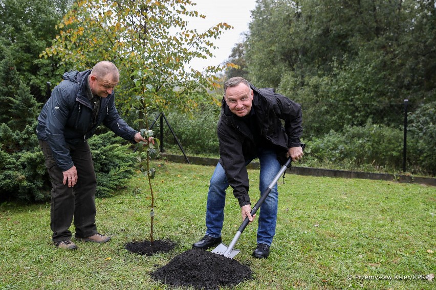 Prezydent wziął udział w akcji #sadziMy. Andrzej Duda: Każde drzewo, które rośnie, które pochłania dwutlenek węgla, sprzyja ochronie klimatu