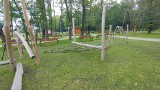 Park Podlesie w Dąbrowie Górniczej poleca się na ciepły, słoneczny weekend 