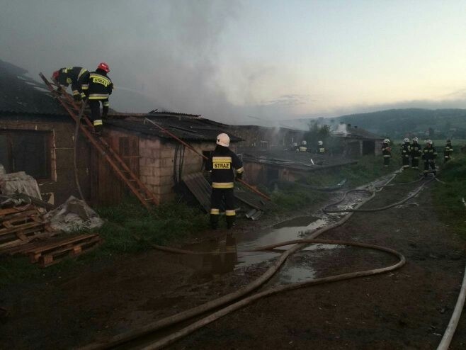 Pożar świniarni w miejscowości Niedźwiedź w powiecie kieleckim 