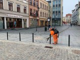 Drogowcy w Bydgoszczy zaczęli walczyć z... wyplutymi gumami do żucia w Śródmieściu